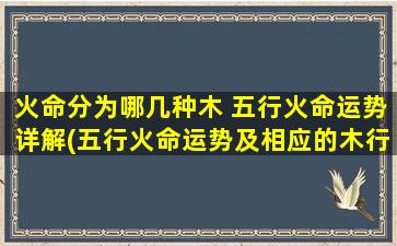 火命分为哪几种木 五行火命运势详解(五行火命运势及相应的木行分析)